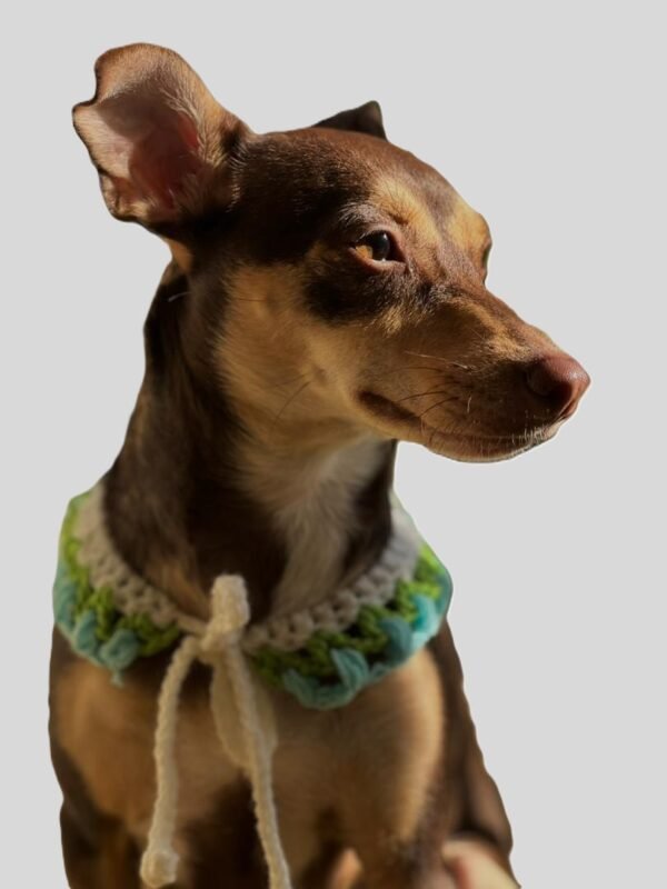 Z Pañuelos Para el Pelo y Adornos de Mascotas - Imagen 7