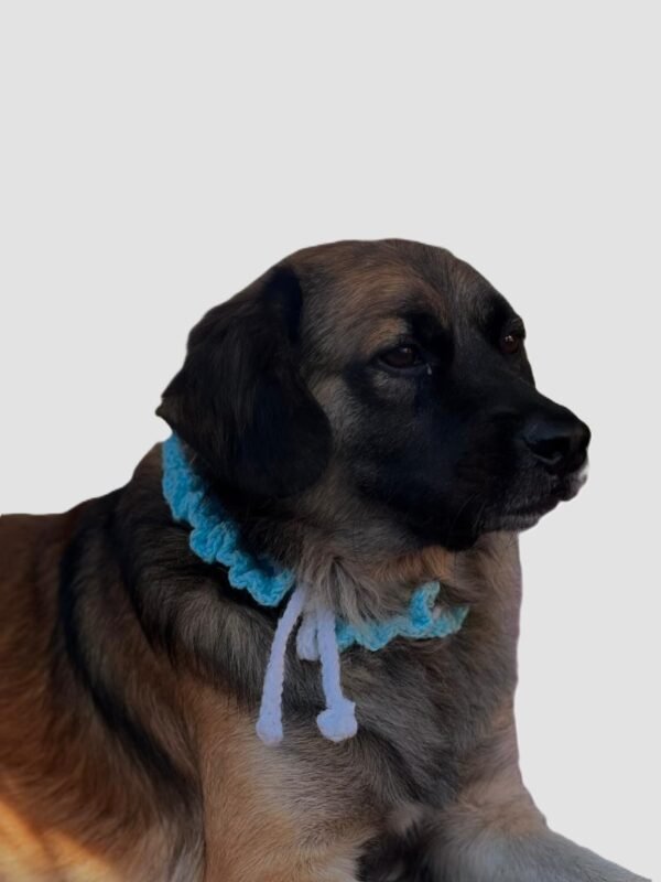 Z Pañuelos Para el Pelo y Adornos de Mascotas - Imagen 6